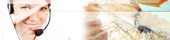 Collage für den Bereich Beratung